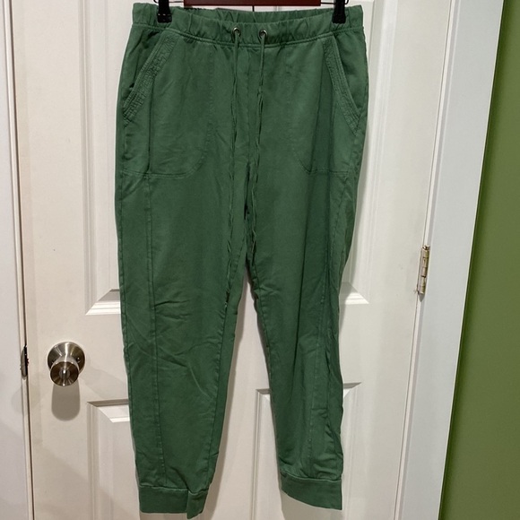 Anthropologie Saturday Sunday Dylan Joggers EUC - Picture 4 of 14